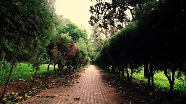 lalbagh Botanik Bahçesi içinde bangalore, karnataka, Hindistan'ın güzel manzarasını