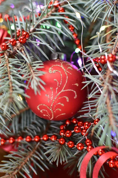 Κόκκινη μπάλα στο χριστουγεννιάτικο δέντρο. Κοντινό πλάνο. — Φωτογραφία Αρχείου