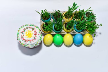 Easter. Colored eggs with young green sprouts of wheat and Easter cake.