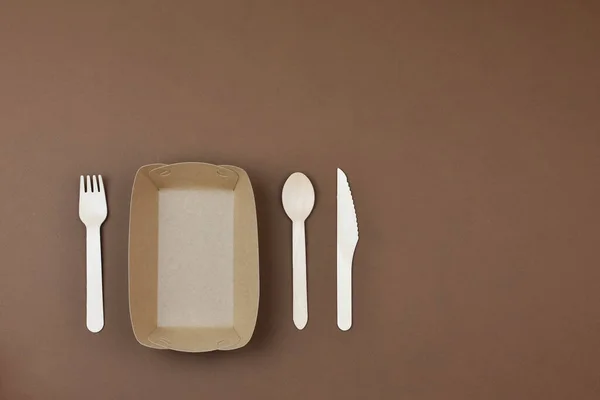 Zero waste, environmentally friendly, disposable, cardboard, paper tableware. Place for an inscription. — 스톡 사진