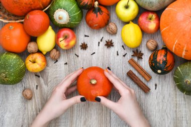 Sonbahar arkaplanı. Manikürlü bir kadın eli sonbahar arkaplanında turuncu bir balkabağı tutuyor. Yukarıdan görüntüle.