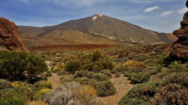 Volkan Teide Tenerife — Stok fotoğraf