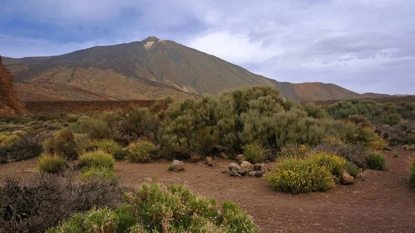 Dağ Teide Tenerife manzara — Stok fotoğraf