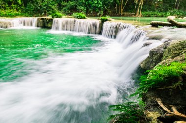 derin orman şelale Tayland