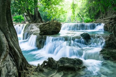 derin orman şelale Tayland