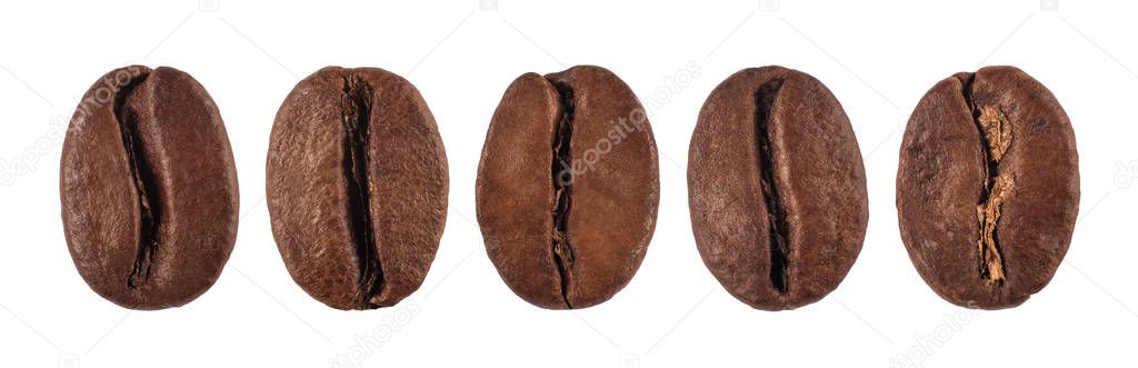 coffee bean isolated on white background, nature