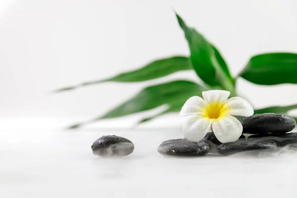 Spa Concept Candle Stone Flower Bamboo Relaxation — Stock Photo, Image