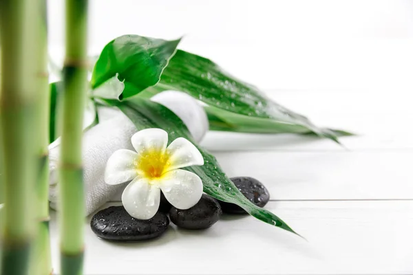 Wellness Konzept Mit Kerze Stein Blume Und Bambus Entspannung — Stockfoto