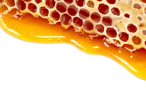 Golden Honey Drop Background Texture — Stock Photo, Image