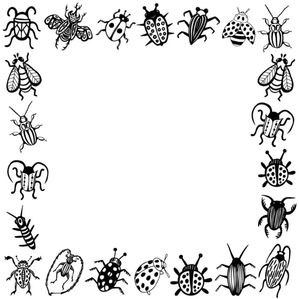 Ručně kreslení vektoroví brouci nastaveni. Černobílý hmyz pro design, ikony, logo nebo tisk. Kresleno tečkami. — Stockový vektor