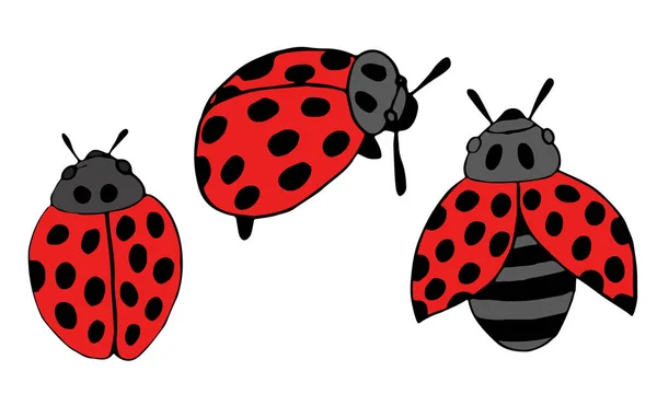 Handritade vektorskalbaggar. Svartvita insekter för design, ikoner, logotyp eller tryck. Ritad med prickar. — Stock vektor