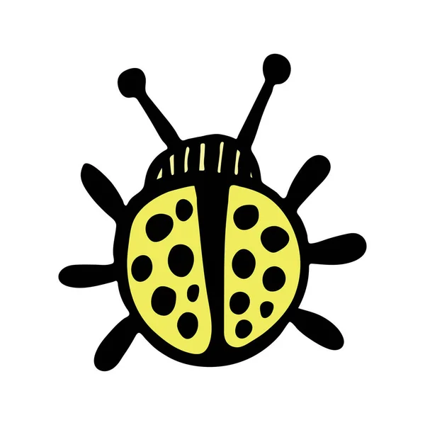 Handgetekende vectorkevers. Zwart-witte insecten voor ontwerp, iconen, logo of bedrukking. Getekend met stippen. — Stockvector