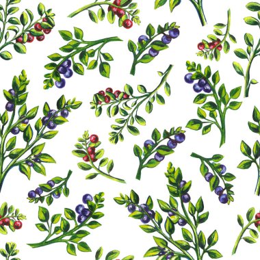 set, çerçeve buketleri meyve ve böğürtlen. Beyaz arka planda izole edilmiş. Suluboya çizimi