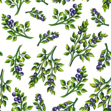 set, çerçeve buketleri meyve ve böğürtlen. Beyaz arka planda izole edilmiş. Suluboya çizimi