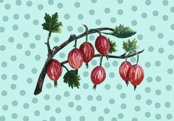 Soupravy, rámečky, kytice ovoce a bobulí. Izolované na bílém pozadí. Obrázek barvy akvarelu — Stock fotografie