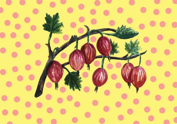 Uppsättningar, ramar buketter av frukt och bär. Isolerad på vit bakgrund. Akvarell illustration — Stockfoto