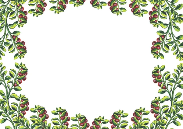 集合，框架水果和浆果的花束。 被白色背景隔离。 水彩画 — 图库照片