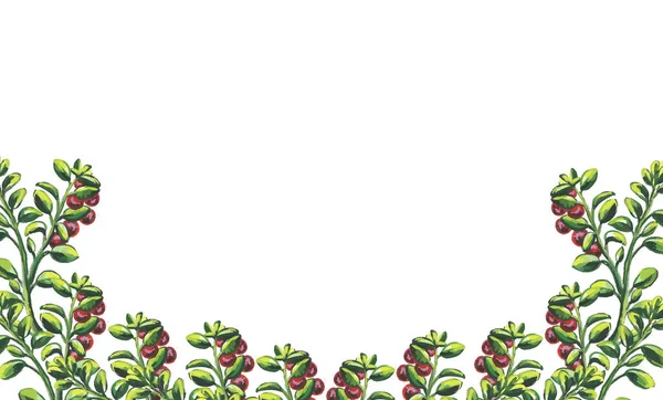 Set, cornici mazzi di frutta e bacche. Isolato su sfondo bianco. Illustrazione ad acquerello — Foto Stock