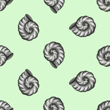 Deniz hayvanları koleksiyonu. El çizimi kalem çizimi. Deniz kabuğu, seastar, sualtı yaşamı..