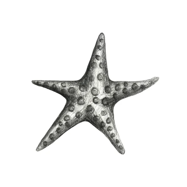Zbiór zwierząt morskich. Ręcznie rysowany szkic ołówek ilustracja. Skorupa, gwiazda morska, podwodne życie. — Zdjęcie stockowe