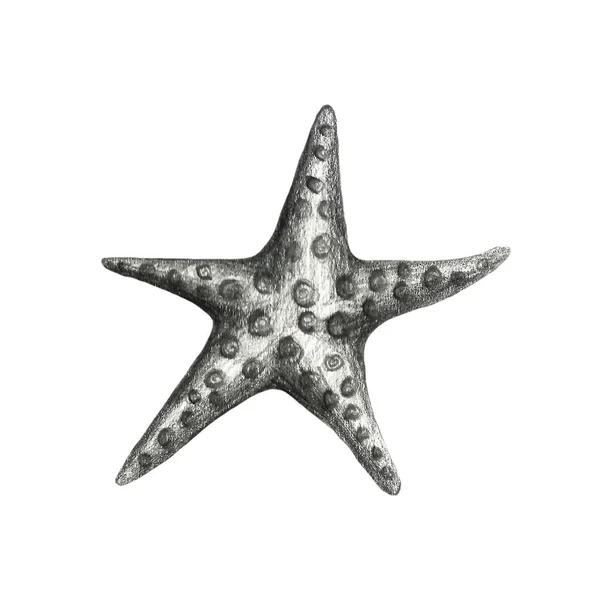 Coleção de animais marinhos. Desenho à mão desenho ilustração a lápis. Shell, seastar, vida subaquática . — Fotografia de Stock