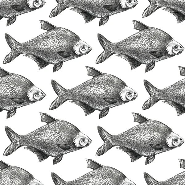 คอลเลกชันของสัตว์ทะเล ภาพวาดด้วยมือภาพวาดดินสอ เชลล์ ซีสตาร์ ชีวิตใต้น้ํา . — ภาพถ่ายสต็อก