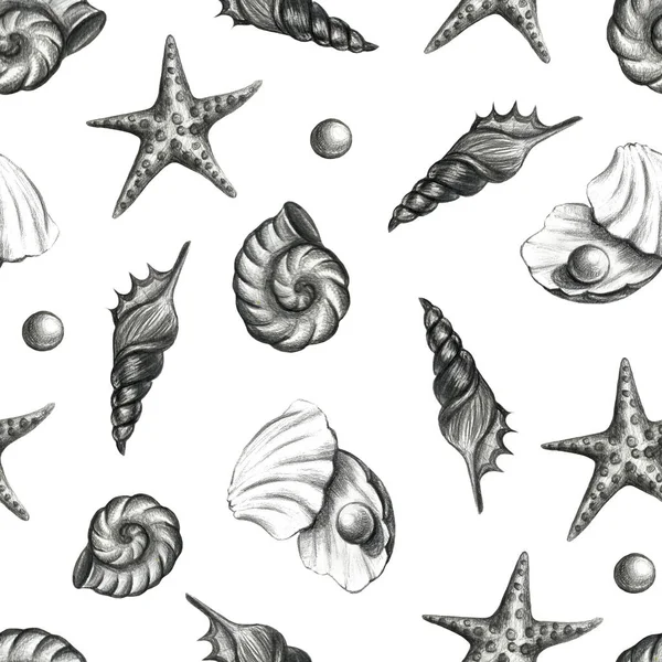 Coleção de animais marinhos. Desenho à mão desenho ilustração a lápis. Shell, seastar, vida subaquática . — Fotografia de Stock
