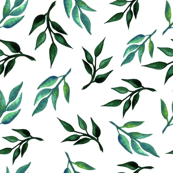 Зелене листя на гілці безшовний візерунок. Акварель ботанічна ілюстрація — стокове фото