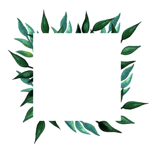 Πράσινα φύλλα σε κορνίζα. Υδατογραφία βοτανική απεικόνιση — Φωτογραφία Αρχείου