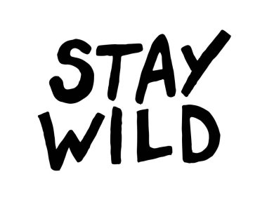 Kapalı alanda çiçek kaktüsü beyaz arka planda siyah bir çizgi şeklinde boyanmış.