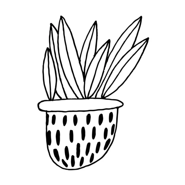 Cactus de flor vectorial interior pintado en un estilo de línea negro sobre fondo blanco — Archivo Imágenes Vectoriales