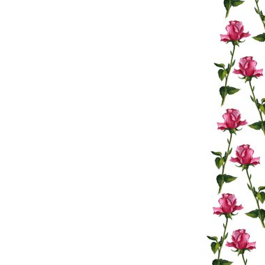 El boyası çiçek unsurları ayarlandı. Okaliptüs, lale, şakayık, şakayık, şakayık çiçeği ve yaprakların suluboya çizimi. Doğal nesneler