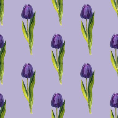 El boyası çiçek unsurları ayarlandı. Okaliptüs, lale, şakayık, şakayık, şakayık çiçeği ve yaprakların suluboya çizimi. Doğal nesneler