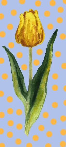 Set di elementi floreali dipinti a mano. Illustrazione botanica acquerello di eucalipto, tulipano, peonia, fiori di anemone e foglie. Oggetti naturali — Foto Stock