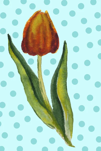 Cat tangan set elemen bunga. Ilustrasi botani warna air dari eukaliptus, tulip, peony, bunga anemon dan daun. Objek alami — Stok Foto
