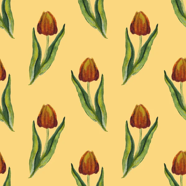 Met de hand beschilderde bloemenelementen set. Aquarel botanische illustratie van eucalyptus, tulp, pioen, anemoon bloemen en bladeren. Natuurlijke objecten — Stockfoto