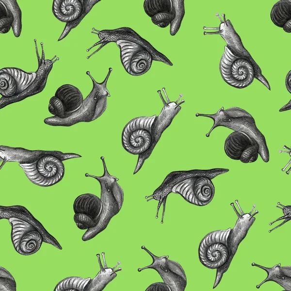 Cute snail cartoon pattern of funny ethnic drawings. Drawing by hand, pencil.