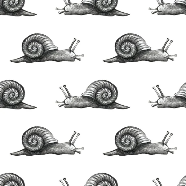 Cute snail cartoon pattern of funny ethnic drawings. Drawing by hand,  pencil. - Stock Image - Everypixel