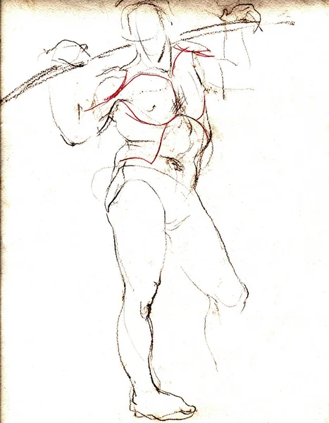 一套人体解剖学上的手雕骨. 手绘铅笔插图. 被白色隔离了 身体，人，男人，女人 — 图库照片