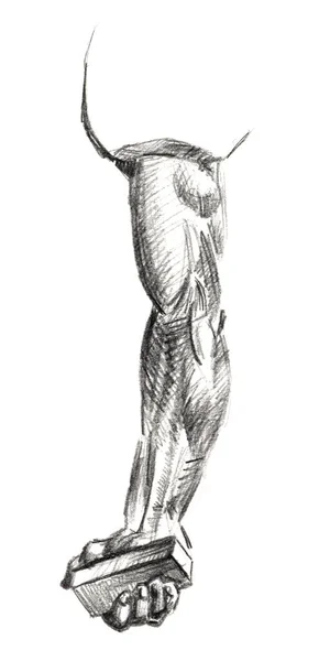 Een set van anatomie menselijke handschedel botten. Met de hand getekend potlood illustratie. Geïsoleerd op wit. Lichaam, mensen, man, vrouw — Stockfoto