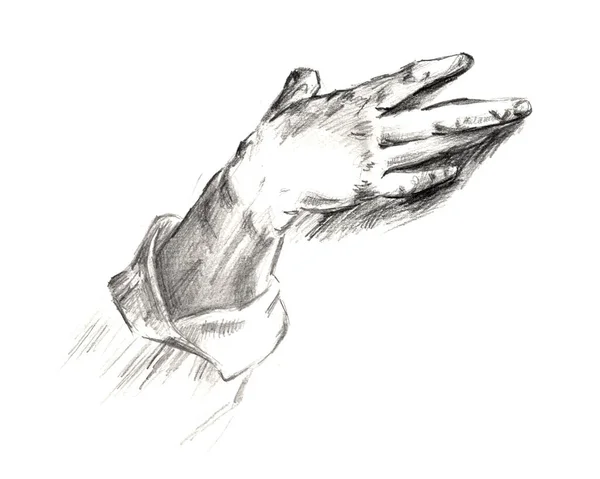 Anatomie Schädelknochen menschlicher Hand. handgezeichnete Bleistift-Illustration. isoliert auf weiß. Körper, Menschen, Mann, Frau — Stockfoto