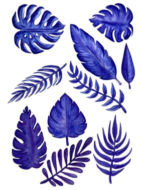 Suluboya mavi egzotik yapraklar resim yapıyor. Yaz tasarımı için elle boyanmış egzotik yapraklar..