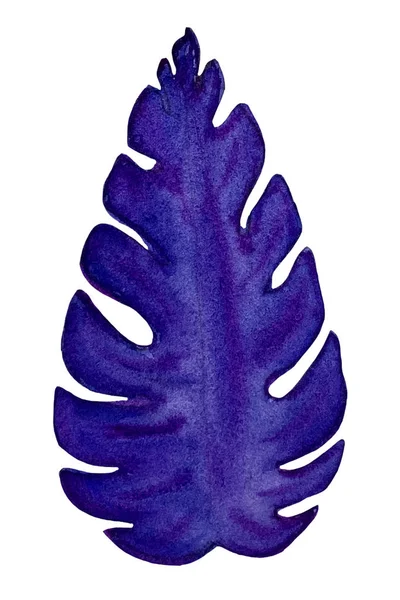 Acuarela azul exótico deja pintura. Ilustración de hojas exóticas pintadas a mano para el diseño de verano . —  Fotos de Stock