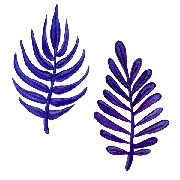 Acquerello blu foglie esotiche pittura. Illustrazione di foglie esotiche dipinte a mano per il design estivo . — Foto Stock