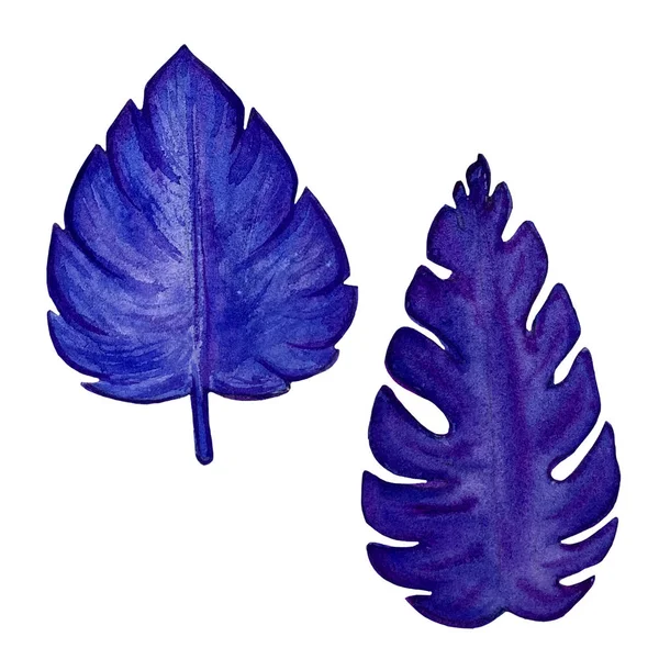 Watercolor blue exotic leaves painting. Hand painted exotic leaves illustration for summer design. — ストック写真