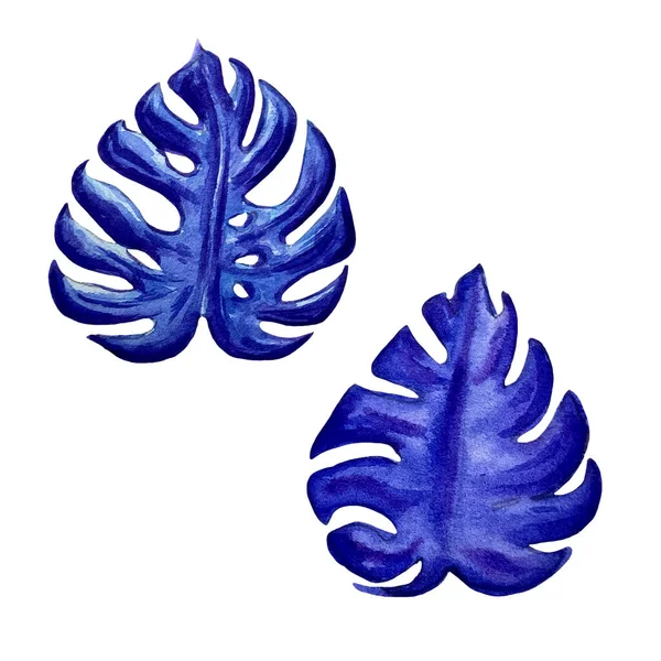 Aquarell blaue exotische Blätter Malerei. Hand bemalte exotische Blätter Illustration für Sommer-Design. — Stockfoto