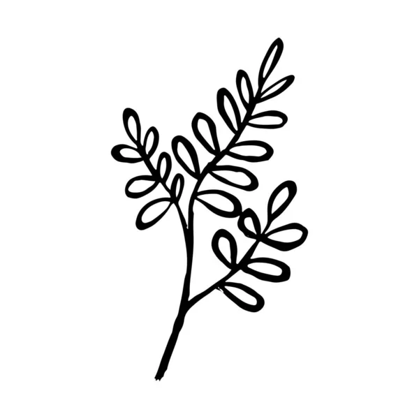 Vektor-Set aus handgezeichneten Zweigen mit Blättern und Blüten. Frühling, blühen, blumig, niedlich. — Stockvektor