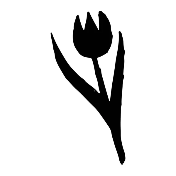 Вінтажний векторний набір гілок мальованого дерева з листям і квітами. Весняний час, квітка, квітковий, милий . — стоковий вектор