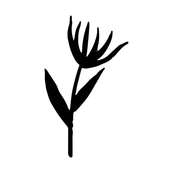 Винтажный векторный набор ветвей дерева ручной работы с листьями и цветами. Весна, цветок, цветок, мило . — стоковый вектор