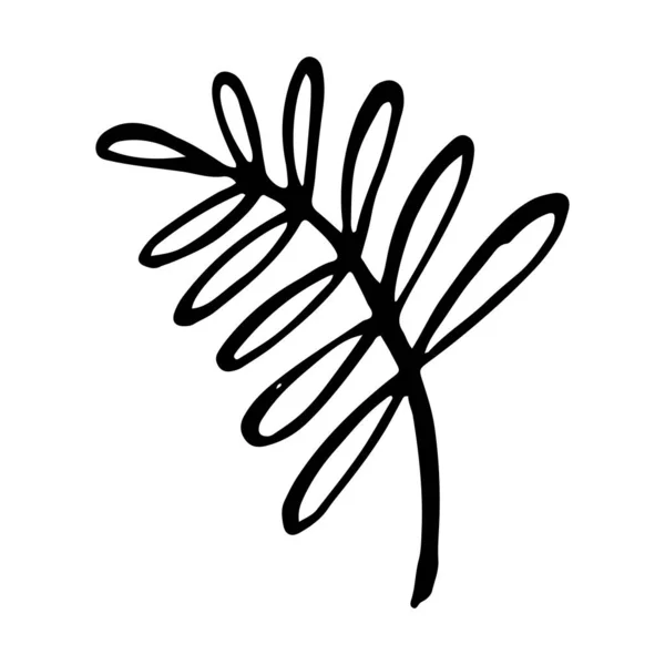 Insieme vettoriale vintage di rami d'albero disegnati a mano con foglie e fiori. Primavera, fioritura, floreale, carino . — Vettoriale Stock
